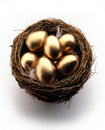 Golden Eggs in Nest