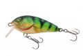 Bait Piece