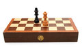 Chess Pieces on Board